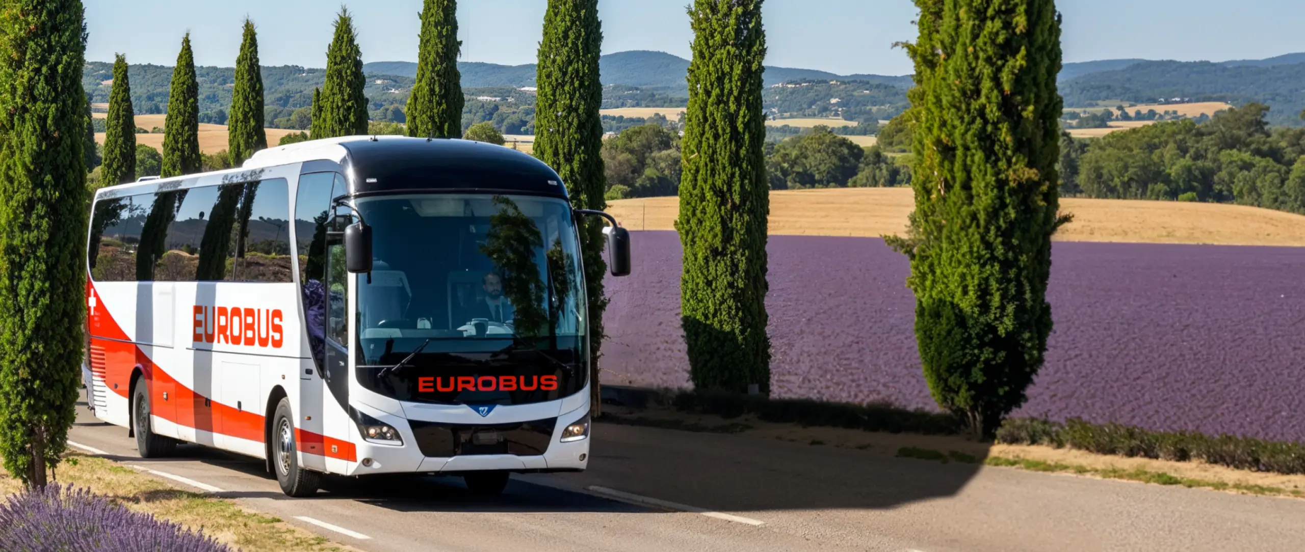 A EUROBUS coach passes cypress trees and a lavender field