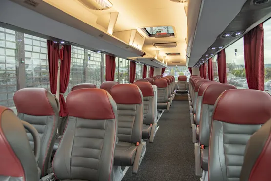 Leather armchairs with red headrests along the centre aisle of the Deluxe coach