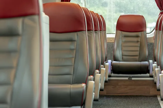 Close-up of the leather armchairs in the Deluxe coach