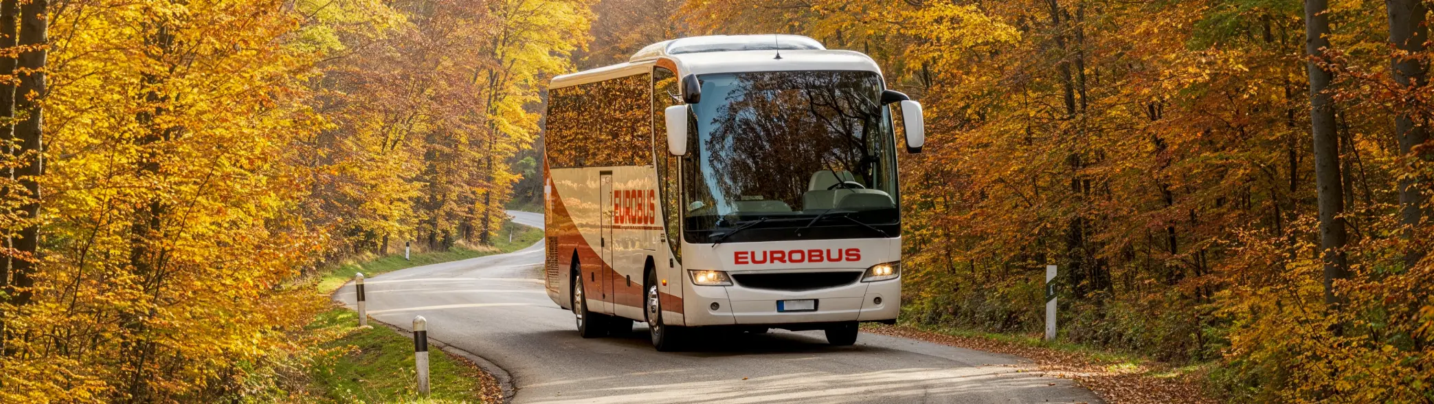Un pullman EUROBUS percorre una strada di campagna attraverso un bosco autunnale