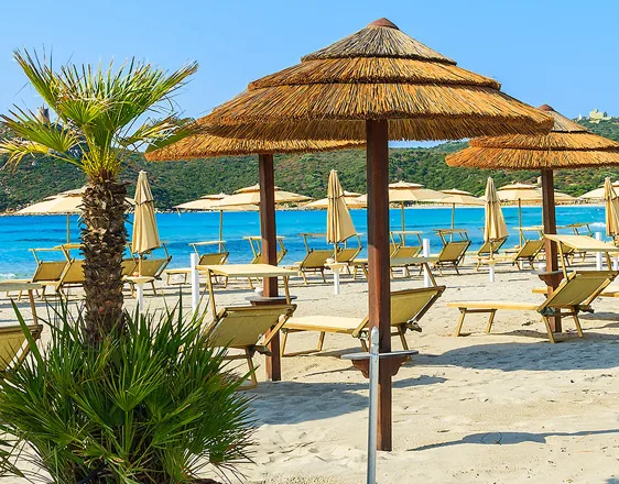 Parasols en paille et chaises longues sur une plage de sable bordée de palmiers