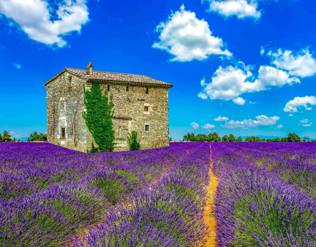 Vieille maison en pierre dans un champ de lavande en fleurs sous un ciel bleu