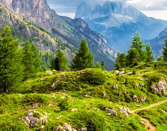 Footpath across a green mountain meadow in front of rugged peaks